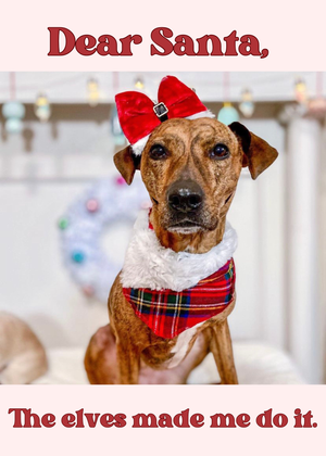 Santa Paws Christmas dog bow tie pet accessory: Collar attachment