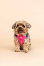 Stasia Dog Harness | No Pull Dog Harness | Pink Dog Harness