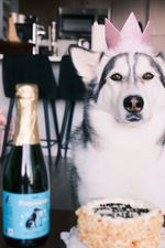 Dog Wines- Sauv Bark, Belly Rub Rose, & Pawsecco