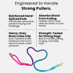 Maddox Rope Dog Leash | Dog Leash | Blue And Pink Leash