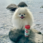 Treat Topper Fish Dog Food Topper