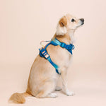 Atlas Dog Harness | Blue No Pull Multi Walk Style Harness