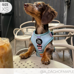 Adjustable Harness - SHERBET SUNSET