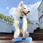 Dog Adjustable Harness - Blumond