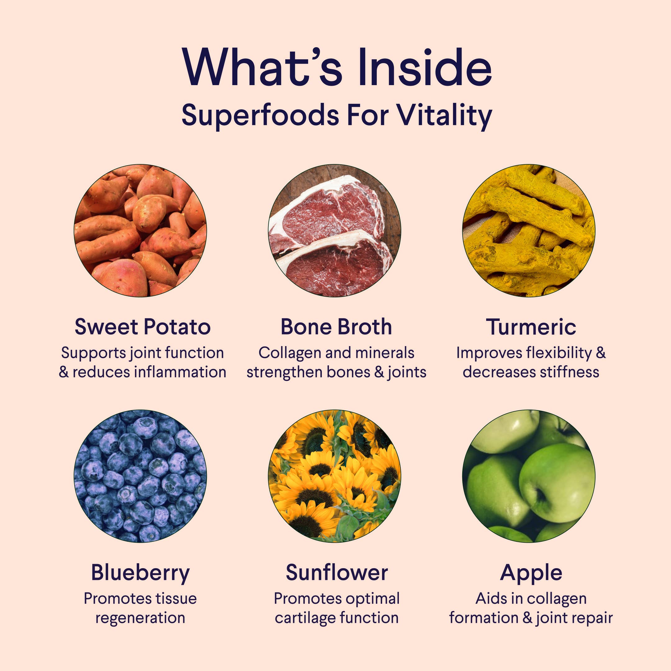 Bone Broth Plus - Powdered Meal Topper