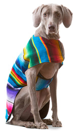 Dog Poncho From Mexican Serape Blanket - Blue