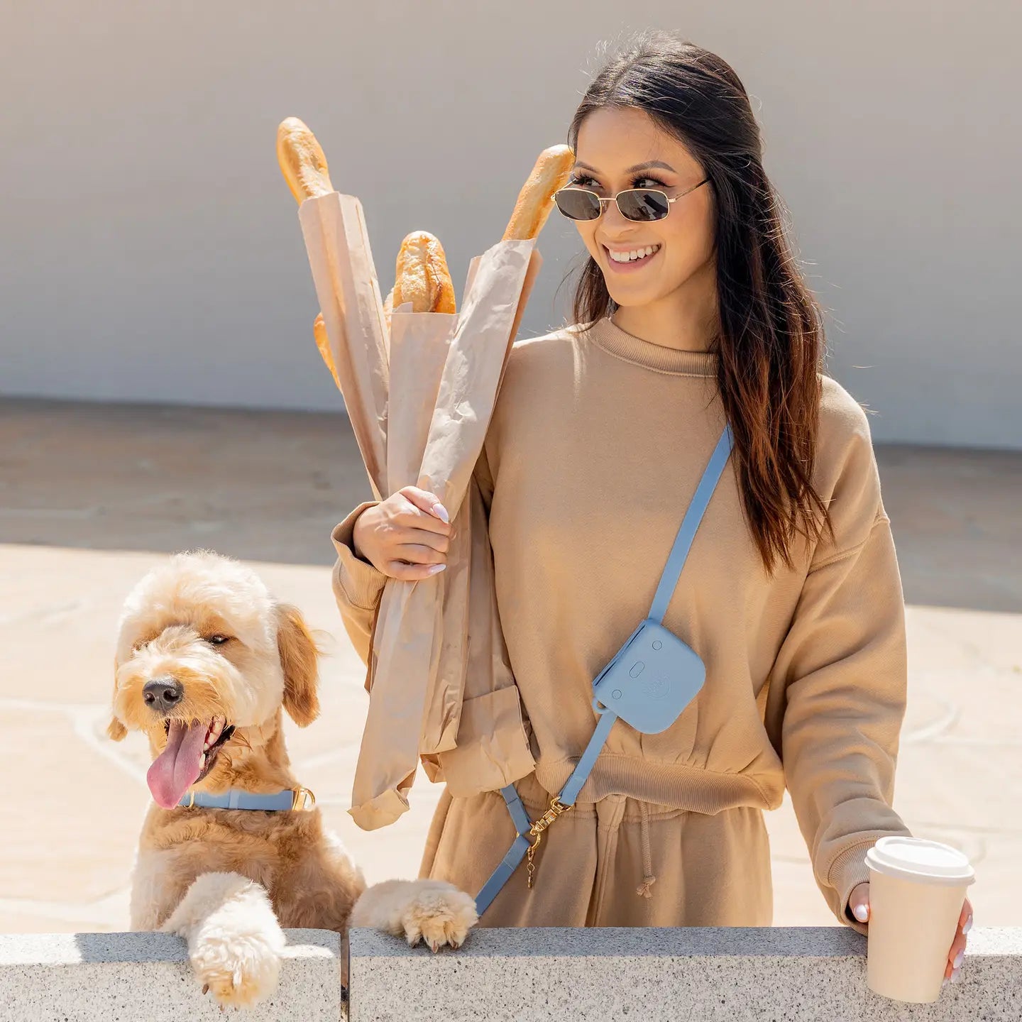Malibu Blue 4-in-1 Convertible Hands Free Cloud Dog Leash