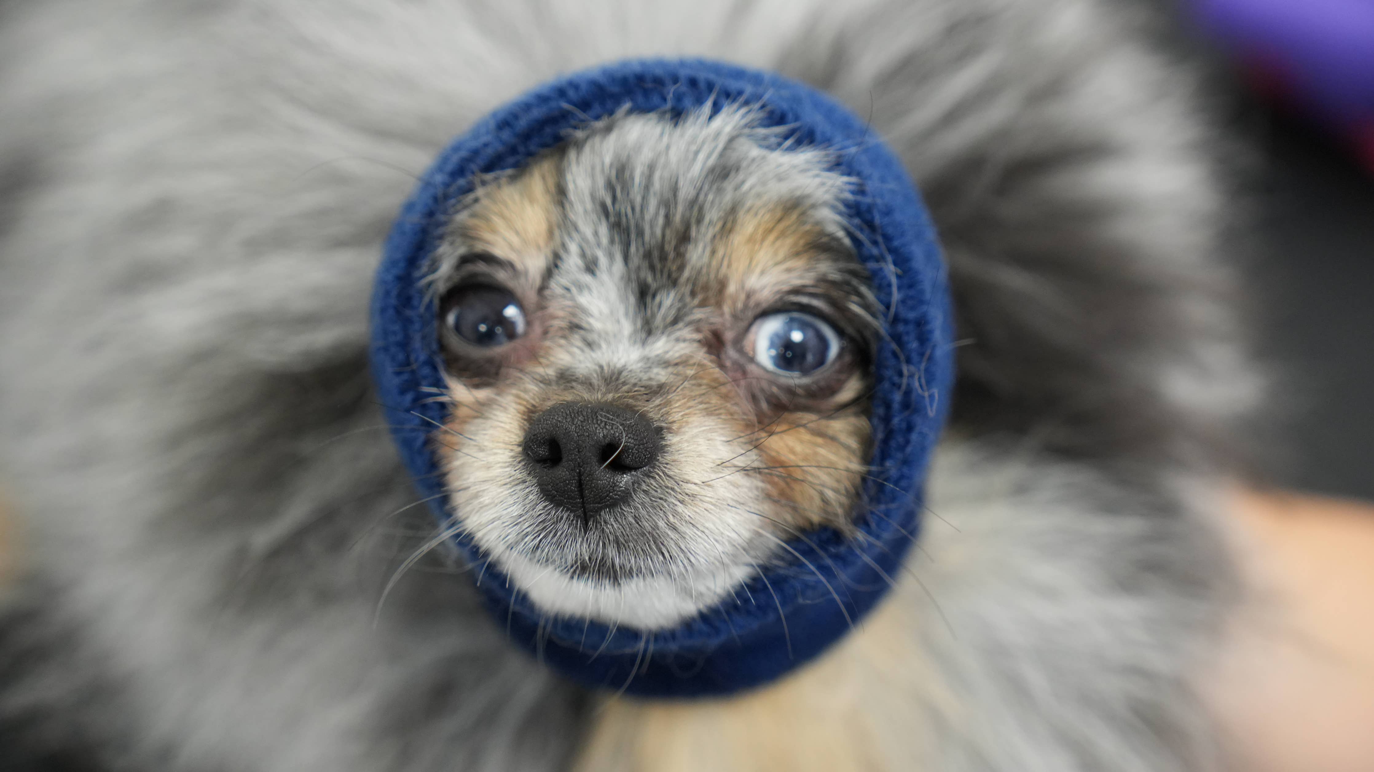 Happy Hoodie XS Blue