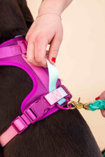 Joana Dog Harness | No Pull Dog Harness | Purple Dog Harness