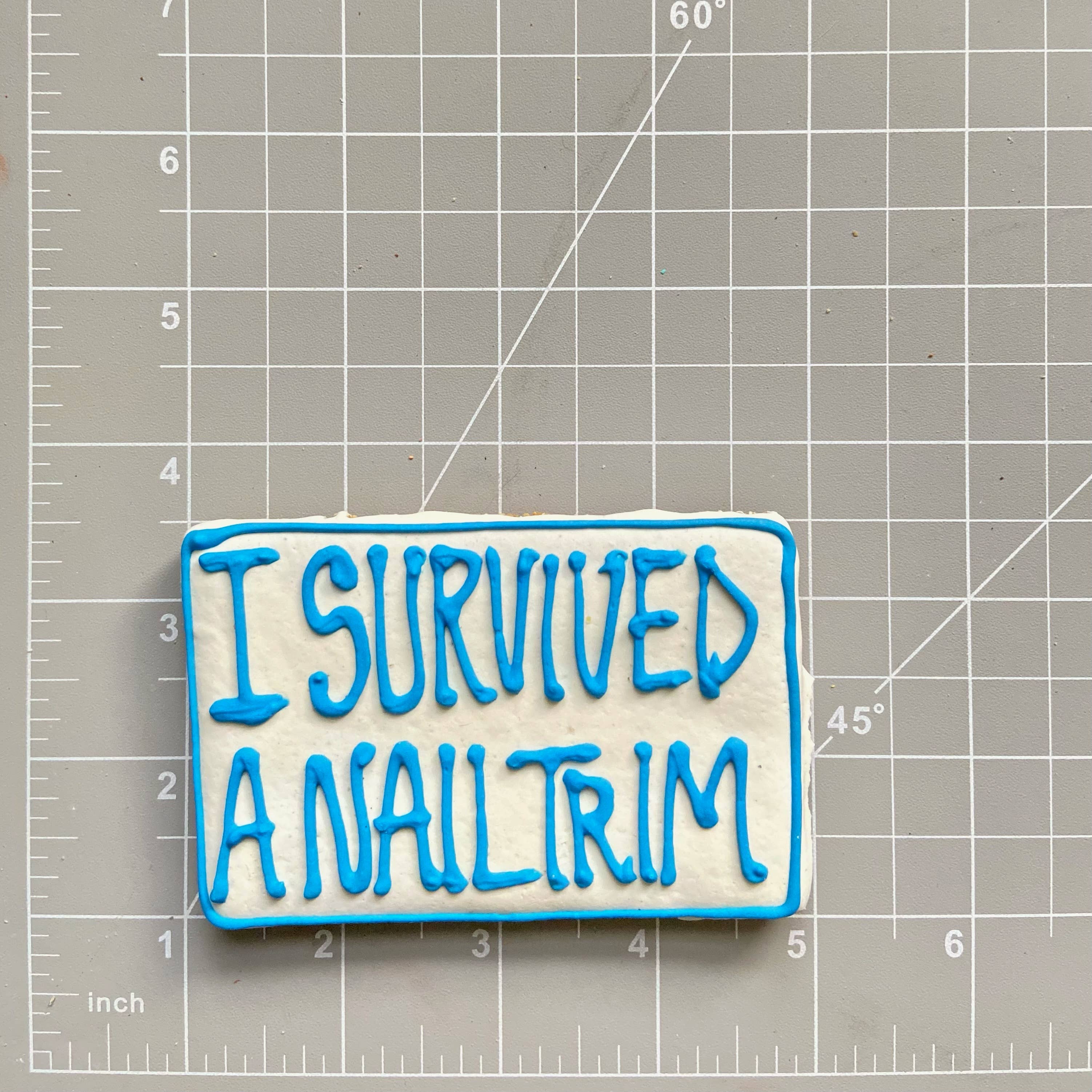 Spaw Day Cookies: I Survived a Nail Trim Cookie