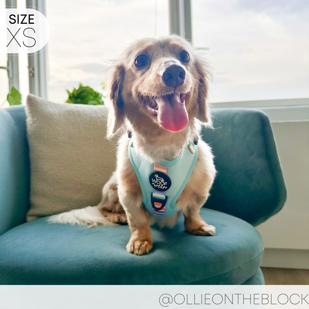 Adjustable Harness - SHERBET SUNSET