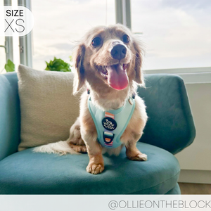 Adjustable Harness - SHERBET SUNSET