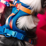 Atlas Dog Harness | Blue No Pull Multi Walk Style Harness