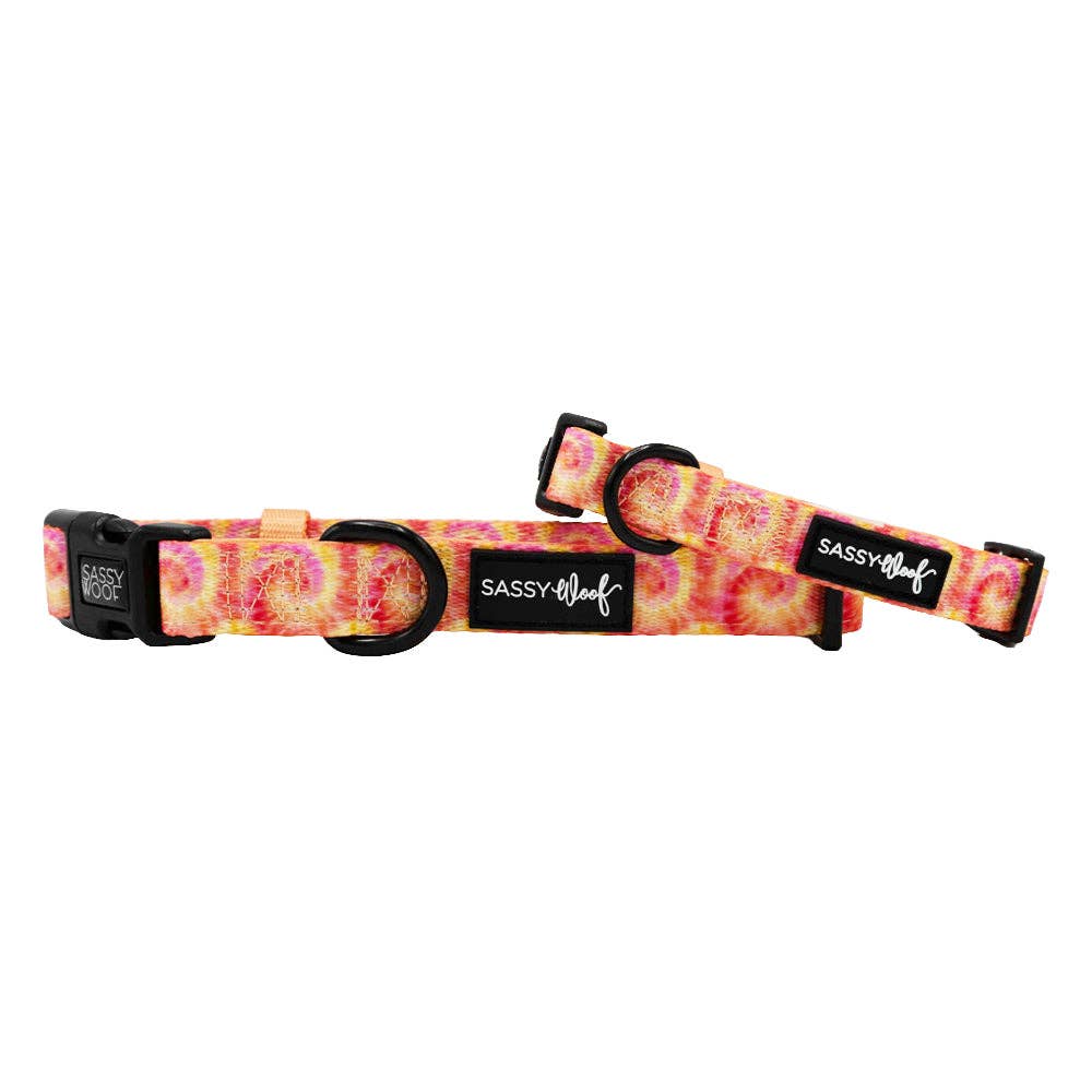 Dog Collar - Summer Sorbet