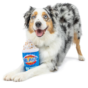 Arctic Blast Treat Dog Toy