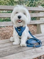 Dog Adjustable Harness - Twilight