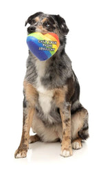 FuzzYard Can't Think Straight Plush Dog Toy