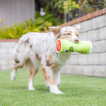 Puggles Can Dog Toy