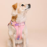 Diem Dog Harness | No Pull Dog Harness | Pink Dog Harness