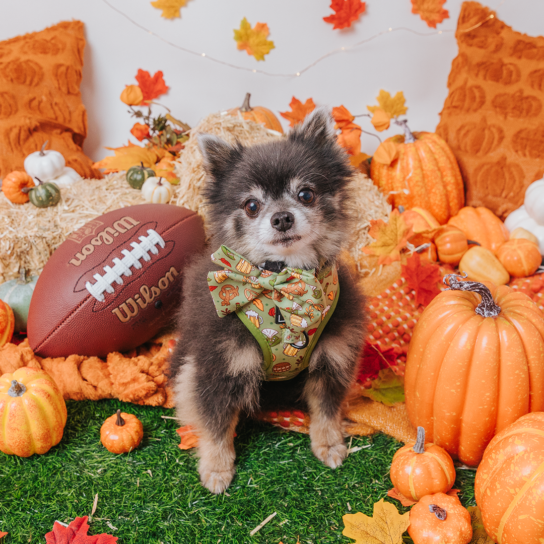 Dog Sailor Bow - Wurst Behavior