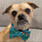 Green Halloween dog bow tie