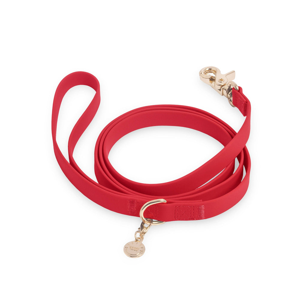 Cherry Red Waterproof Cloud Dog Leash: 5 FT