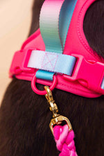 Stasia Dog Harness | No Pull Dog Harness | Pink Dog Harness