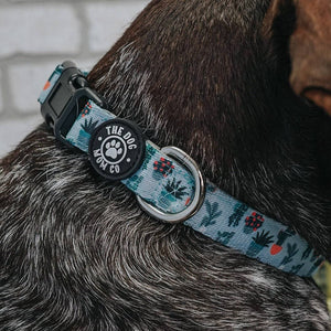 House Plant Dog Collar