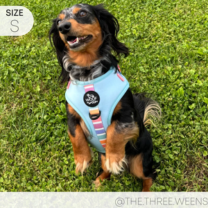 Adjustable Harness - SHERBET SUNSET