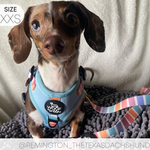 Adjustable Harness - SHERBET SUNSET