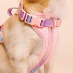 Diem Dog Harness | No Pull Dog Harness | Pink Dog Harness
