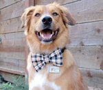 Birthday Boy Pet Bow Tie, Birthday dog bow tie 
