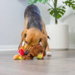 Wishbone Turkey For Dogs