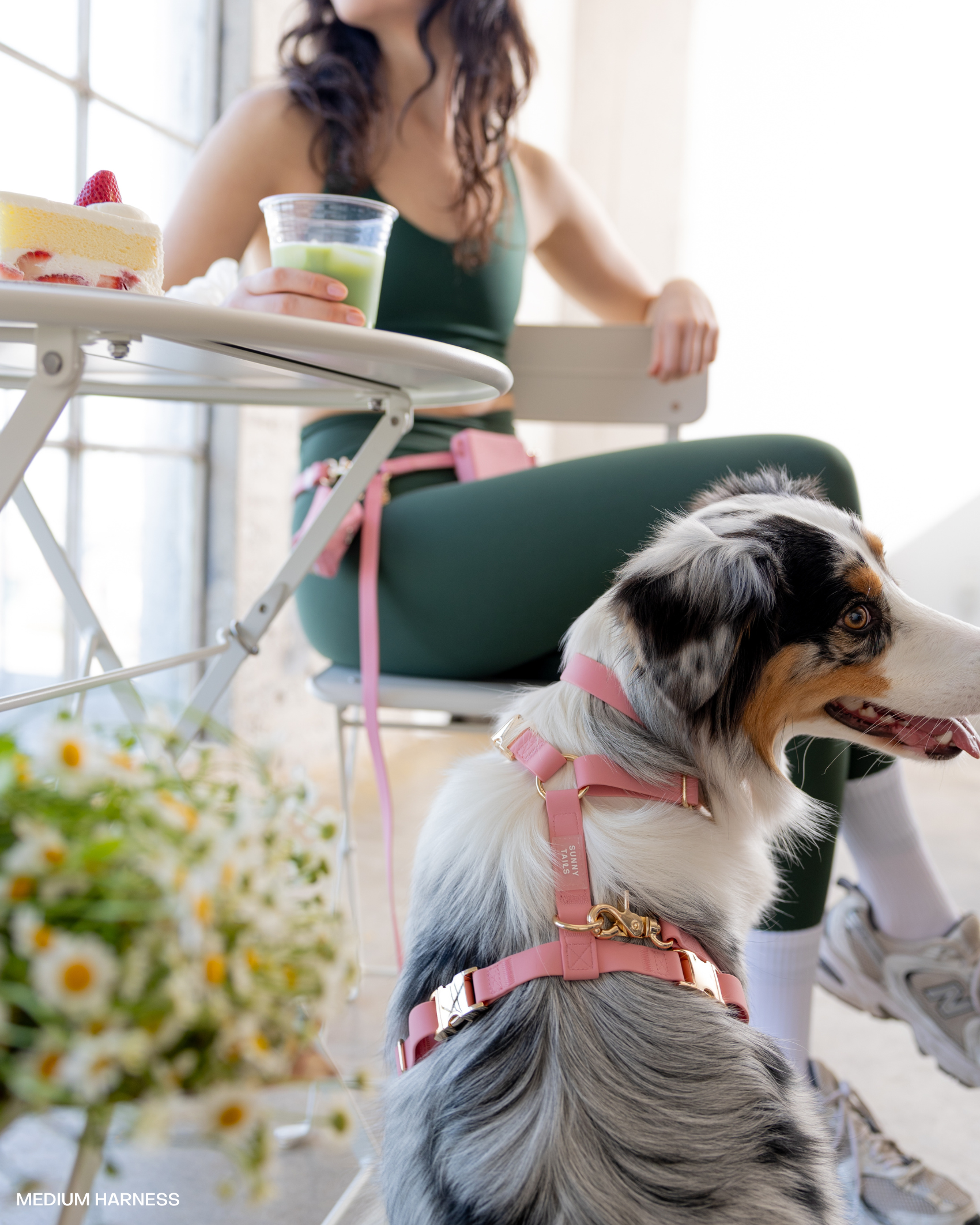 Perfect Pink 4-in-1 Convertible Hands Free Cloud Dog Leash