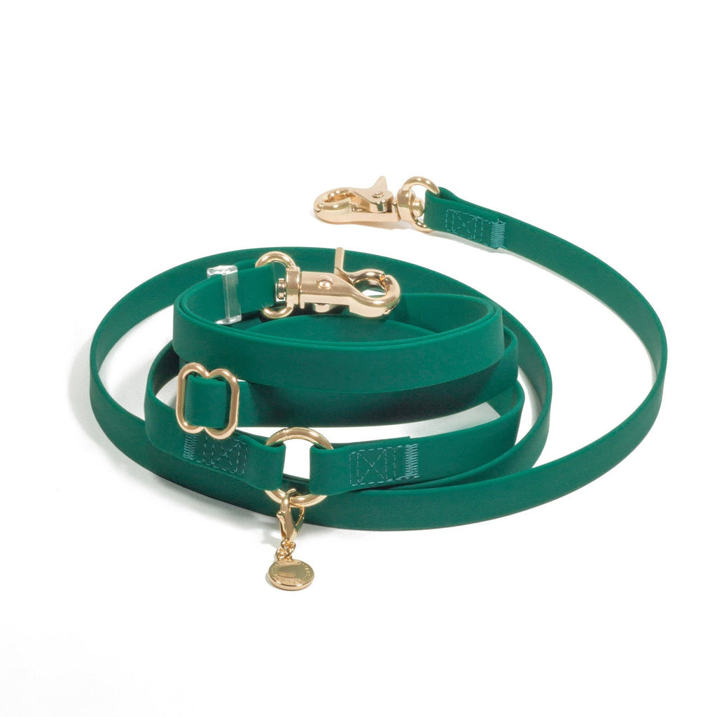 Meadow Green 4-in-1 Convertible Hands Free Cloud Dog Leash