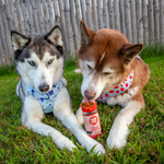 Treat Topper Beef Dog Food Topper