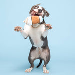 BARK Cup Of Bark Roast Plush Dog Toy