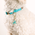 Balloon Dog Pet Collar Charm | Dog Collar Charm 