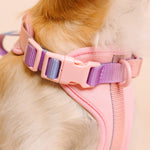 Diem Dog Harness | No Pull Dog Harness | Pink Dog Harness