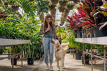 Lavender Haze 4-in-1 Wide Convertible Hands Free Dog Leash
