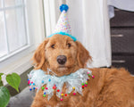 Multipet Party Pom Pom Collar Blue Small
