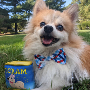Can O' Scram For Dog