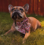 Western Babe Sailor Bow Tie