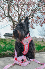 Dog Waste Bag Holder - Western Barbie™