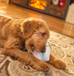 ThoozyPet Birthday Gift Plush Dog Toy 6"