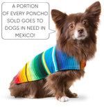 Dog Poncho From Mexican Serape Blanket - Blue