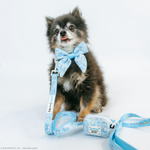 Dog Sailor Bow - Cinnamoroll™
