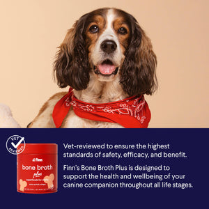 Bone Broth Plus - Powdered Meal Topper