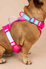 Stasia Dog Harness | No Pull Dog Harness | Pink Dog Harness