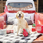 PetShop by Fringe Studio #1 Fan Plush Dog Toy